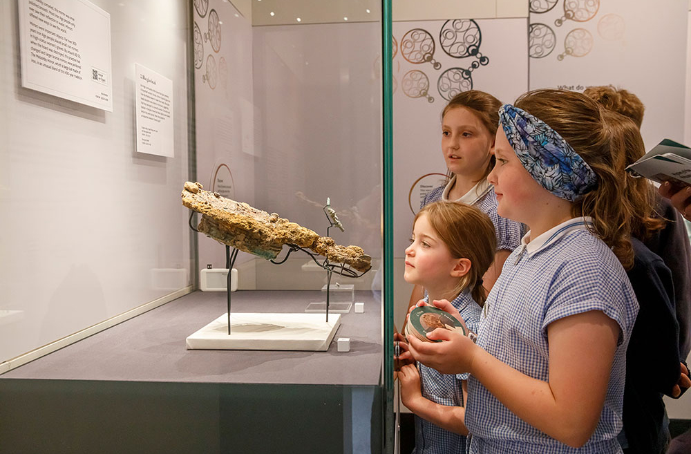 A group of school children looking at a museum display of Iron Age metalwork objects