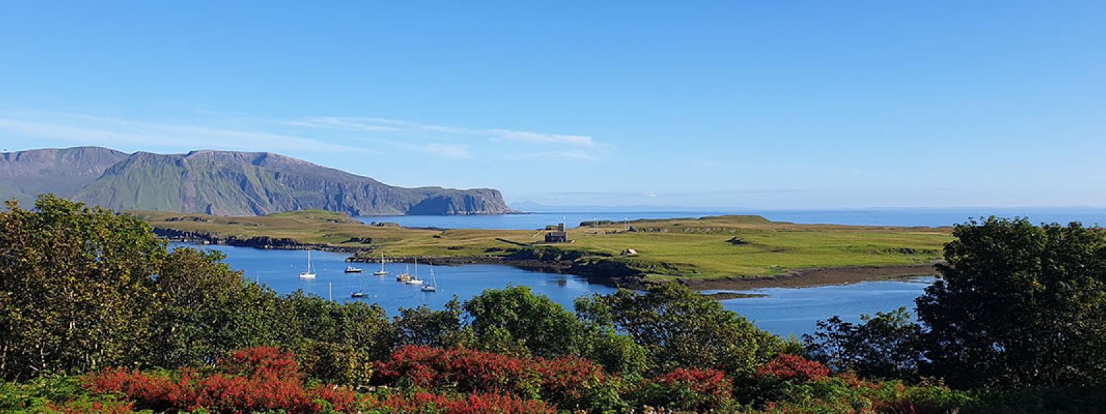 A view of the The Isle of Canna, with trees in the foreground, and mountains and lakes in the background