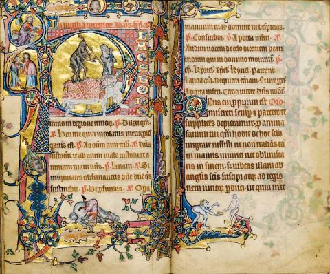 Section from the Macclesfield Psalter Section from the Macclesfield Psalter