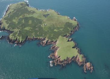 View of Skokholm Island from above showing the land surround by sea with rugged cliff edges and covered in greenery 