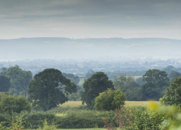 One of England’s most important historic gardens saved 